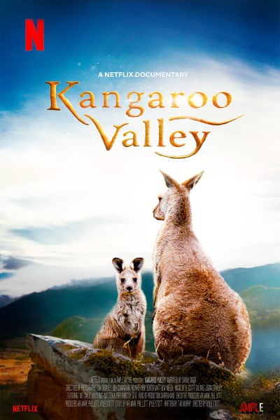Download Kangaroo Valley (2022) Dual Audio {Hindi-English} WEB-DL ESubs 480p [250MB] || 720p [700MB] || 1080p [1.6GB]