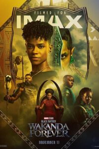 Download Black Panther: Wakanda Forever (2022) Dual Audio {Hindi-English} IMAX WeB-DL 480p [500MB] || 720p [1.4GB] || 1080p [3.5GB]